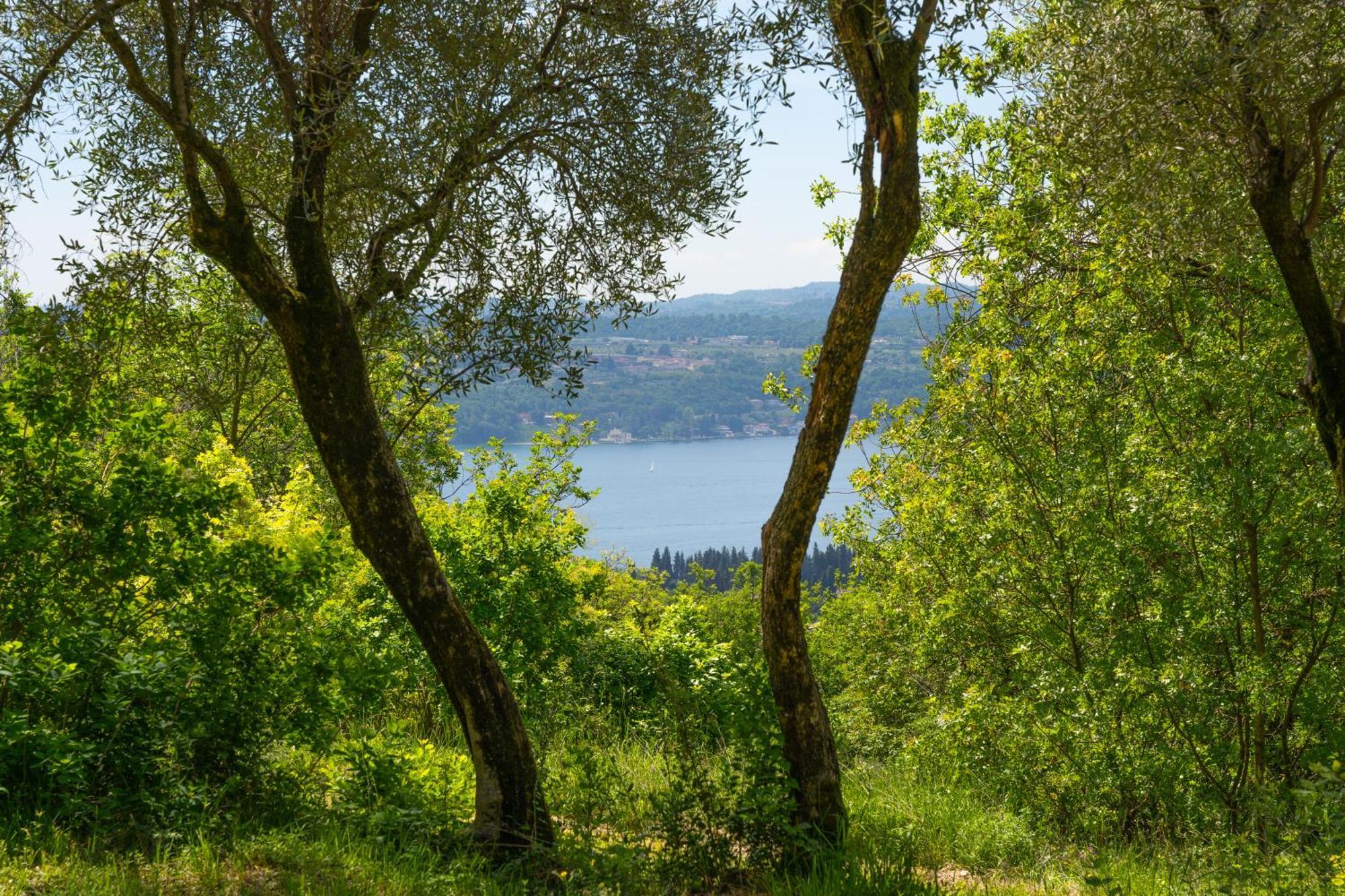 Premignaga Natural Home Gardone Riviera Kültér fotó